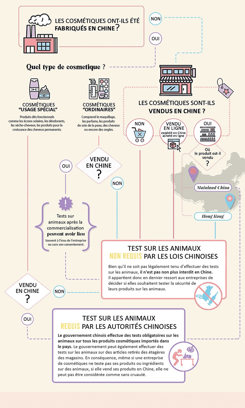 Sch&eacute;ma r&eacute;capitulatif des tests sur les animaux