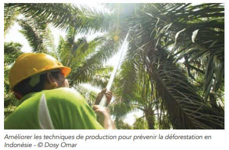 (c)FEBEA - limiter la déforestation