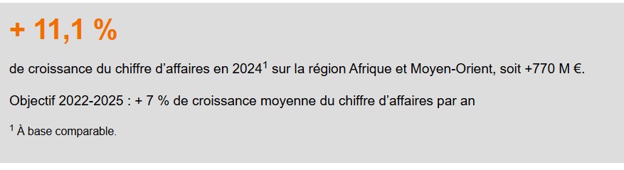 Chiffre d'affaire Afrique
